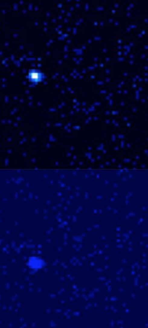 The figure shows images of the neutron star transient KS1731-260 during its quiescent cooling phase.