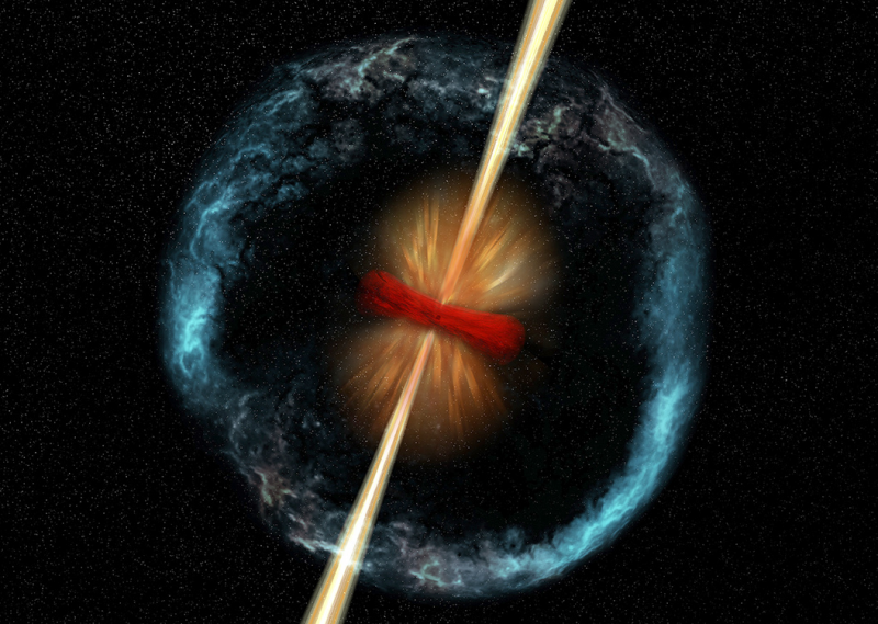 Type 1 X-ray Burst Light Curves